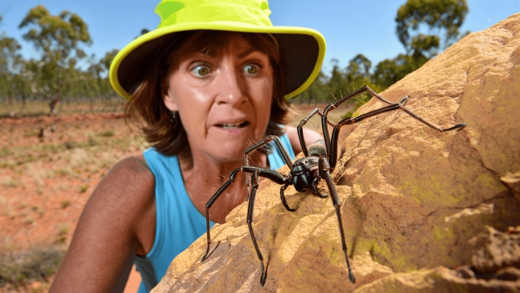 Ce qui ne vous tue pas vous rend australien