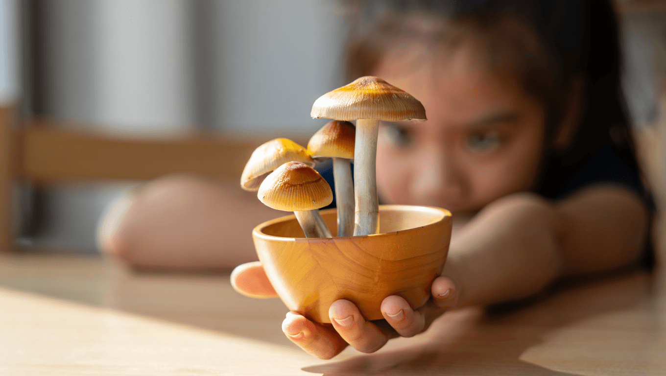 Des champignons hallucinogènes pour arrêter de fumer ?